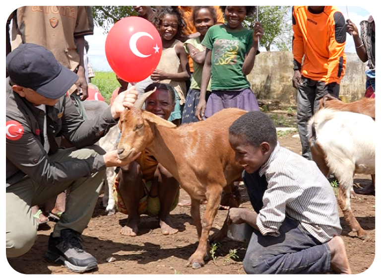 Süt Keçisi Hediyesi